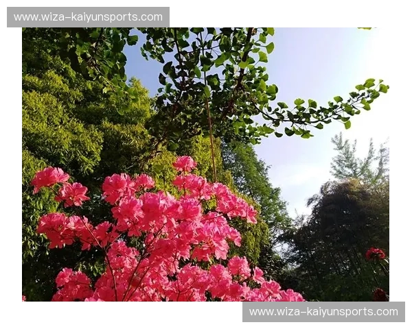 巅峰之上的红蓝博弈：当“女排精神”撞上“美式力量”，这场跨越半世纪的宿命决战